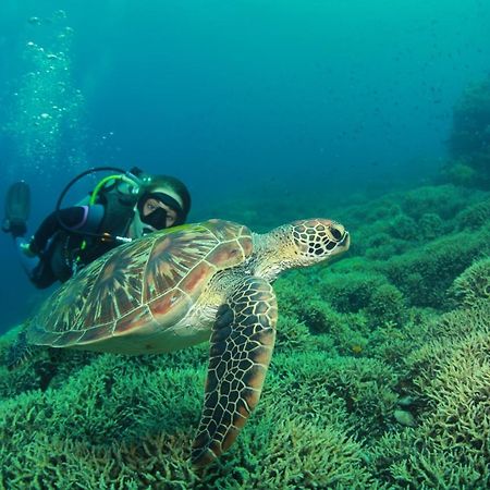 Bongo Bongo Divers Dauin Exteriér fotografie