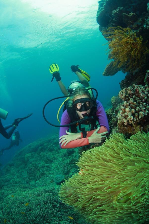 Bongo Bongo Divers Dauin Exteriér fotografie