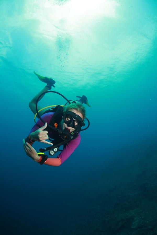 Bongo Bongo Divers Dauin Exteriér fotografie