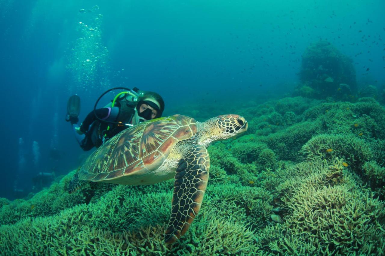 Bongo Bongo Divers Dauin Exteriér fotografie